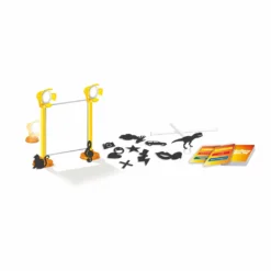 Zygomatic Picture Show Family Games