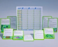 Stonemaier Games Rolling Realms Family Games