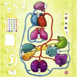 Best reviews of ⌛ Arcane Wonders VIRAL Strategy Games ⭐ 7 Arcane Wonders VIRAL Strategy Games