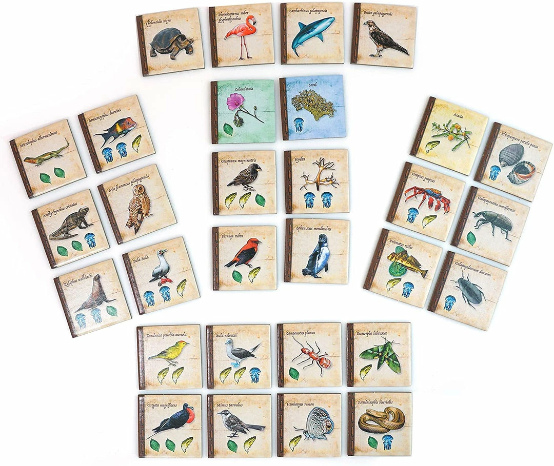 Flash Sale ⌛ Artana On The Origin Of Species Strategy Games ✨ 2 Artana On The Origin Of Species Strategy Games